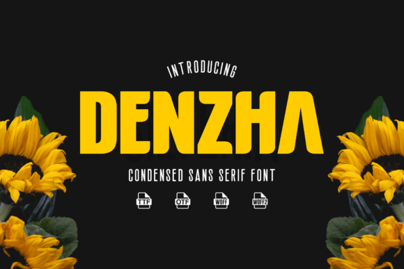 Denzha: A Modern Sans Serif Font