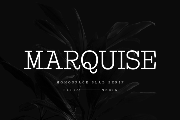 Marquise Font: Elegant Type for Business Branding